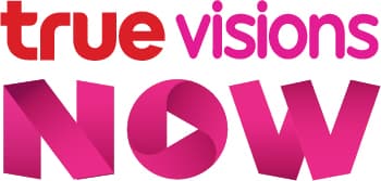 Truevisions NOW Logo